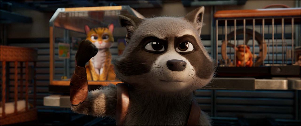 Tierisch abgefahren - Rettet die Pets! : Bild