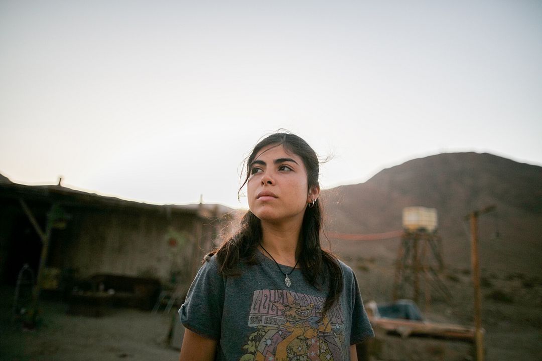 Bitter Gold : Bild Katalina Sánchez