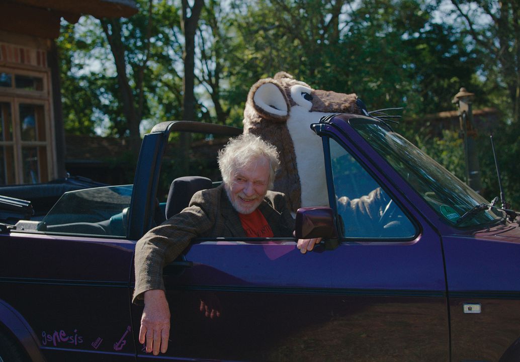 Rote Sterne überm Feld : Bild