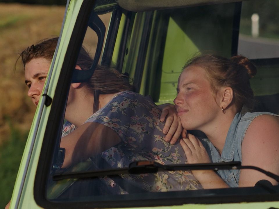 Milch ins Feuer : Bild