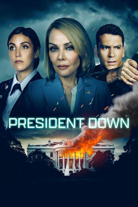 President Down : Kinoposter