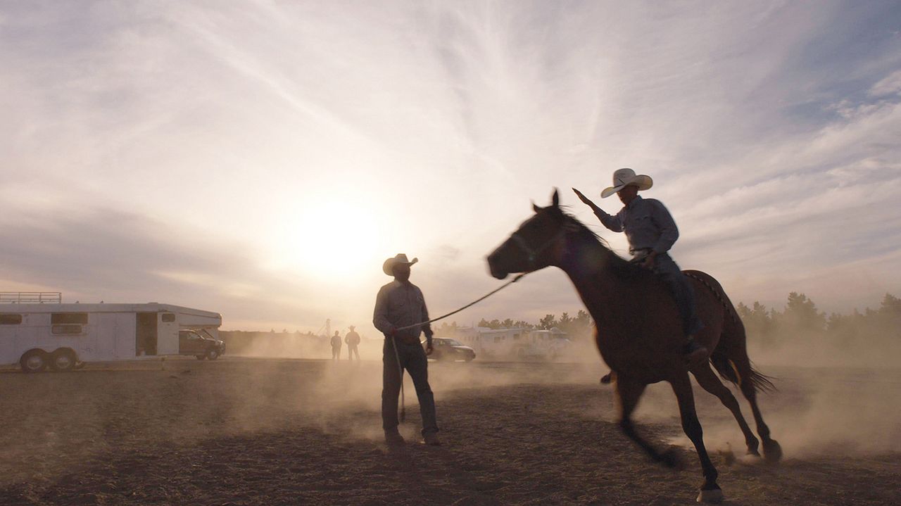 The Cowboy : Bild