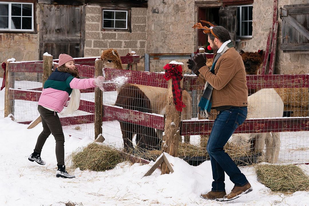 Weihnachten auf der Alpakafarm : Bild Matt Wells, Ai Barrett