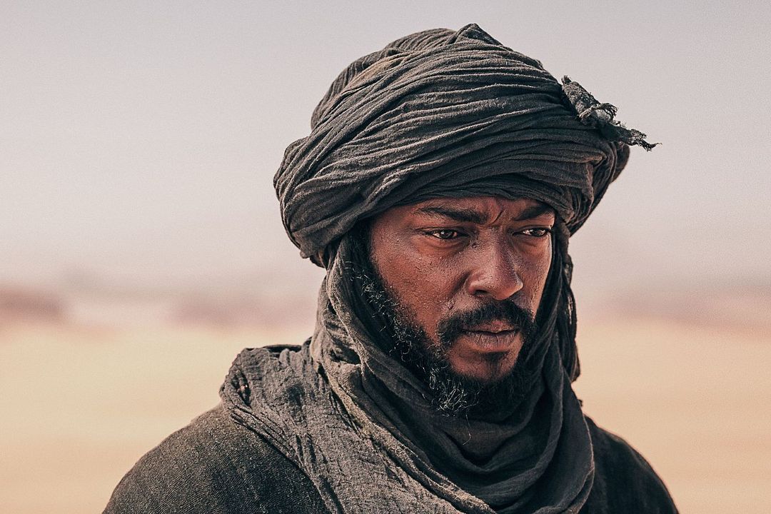 Desert Warrior - Wüstenkrieger : Bild Anthony Mackie