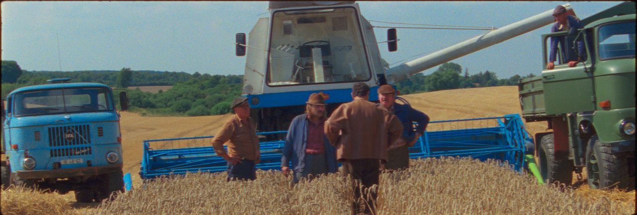 Rote Sterne überm Feld : Bild