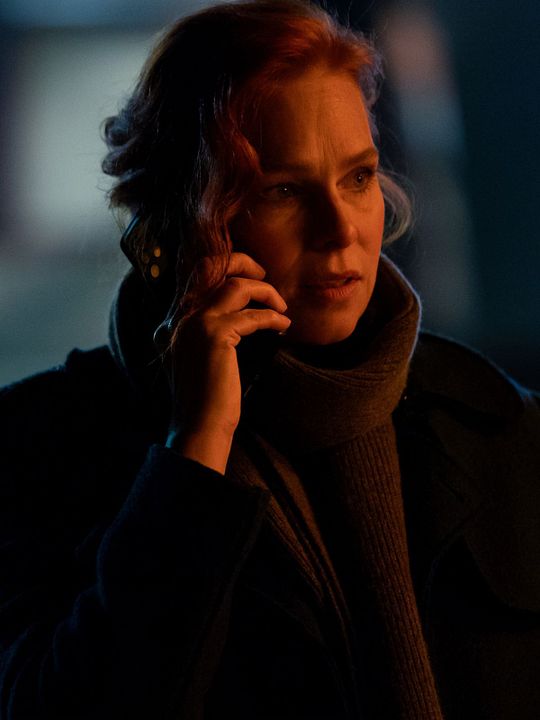 Charlotte Link - Einsame Nacht (2) : Kinoposter