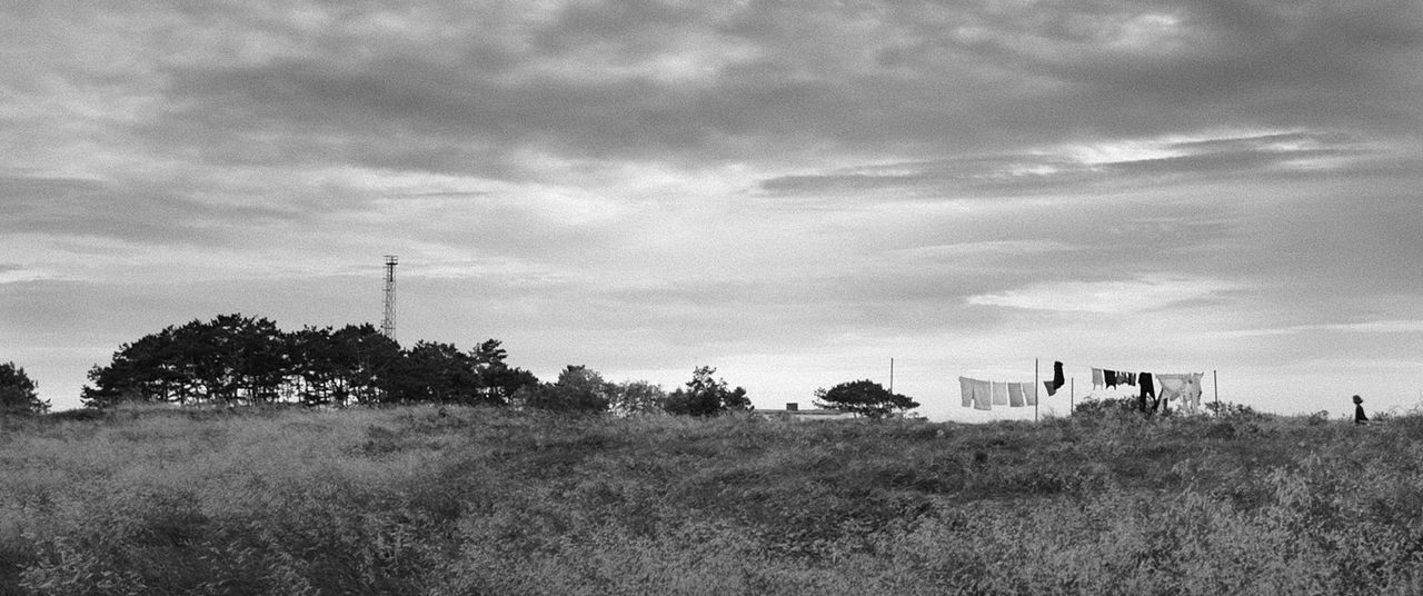 Hiddensee : Bild