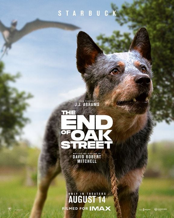 The End Of Oak Street : Kinoposter