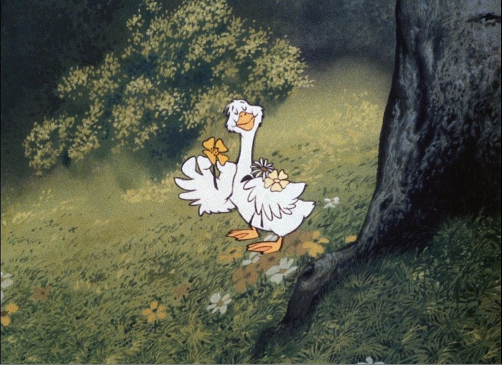 Matyi, der Gänsejunge : Bild