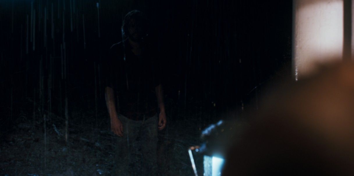 Good Boy - Trust His Instincts : Bild