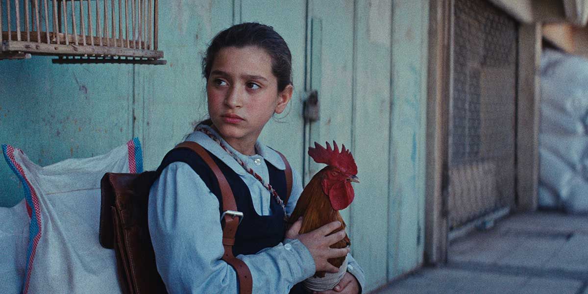 Ein Kuchen für den Präsidenten  : Bild Baneen Ahmad Nayyef