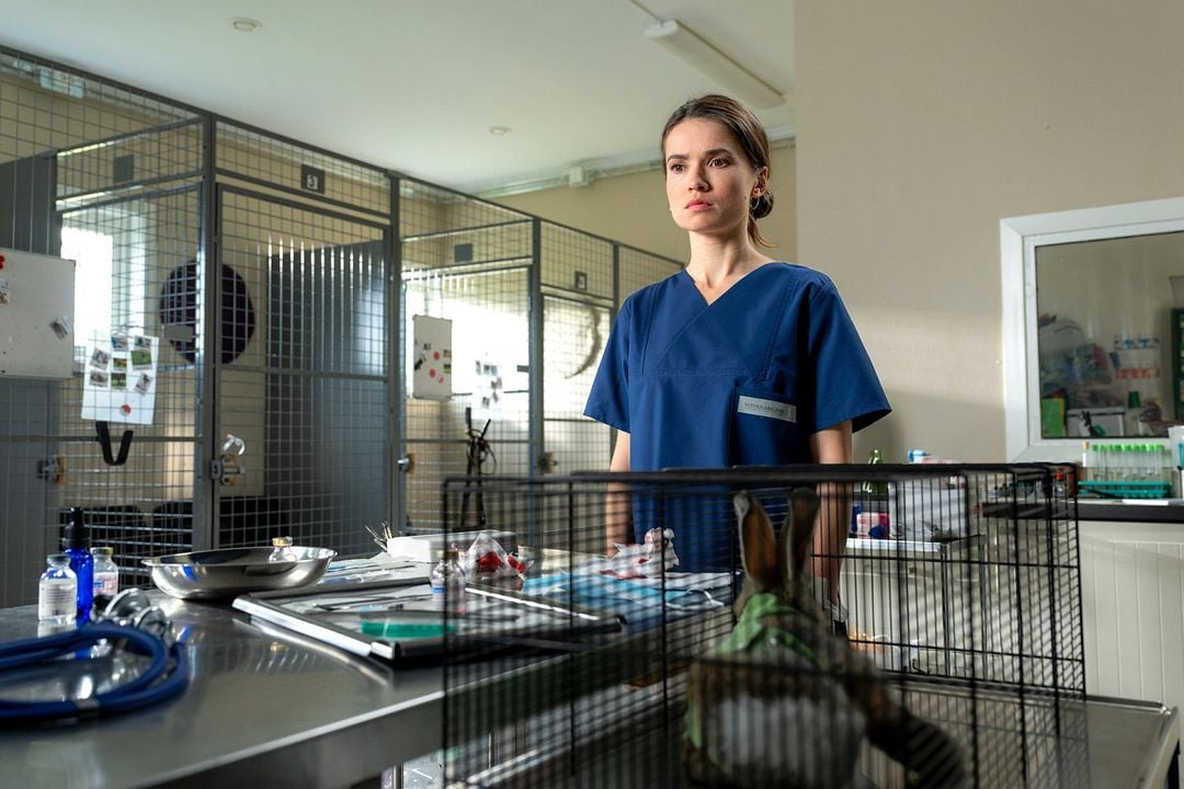 Inga Lindström: Herz über Kopf : Bild