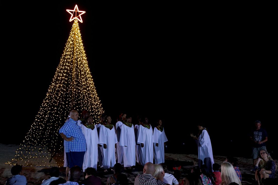 Weihnachten im Inselparadies : Bild