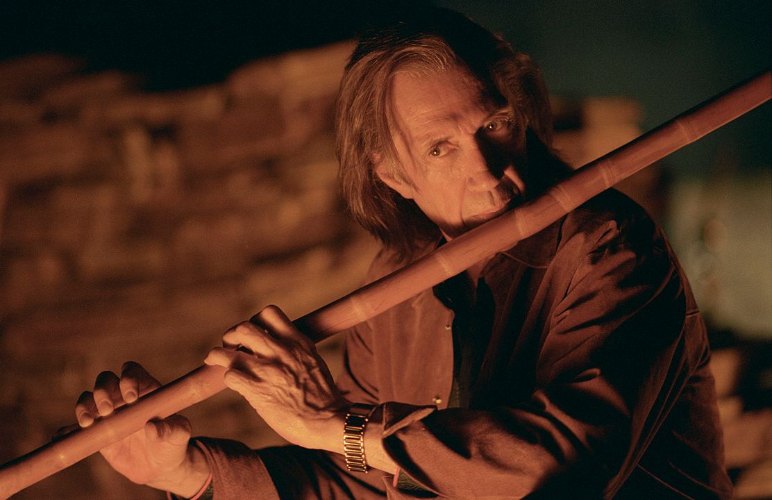 Kill Bill: The Whole Bloody Affair : Bild David Carradine