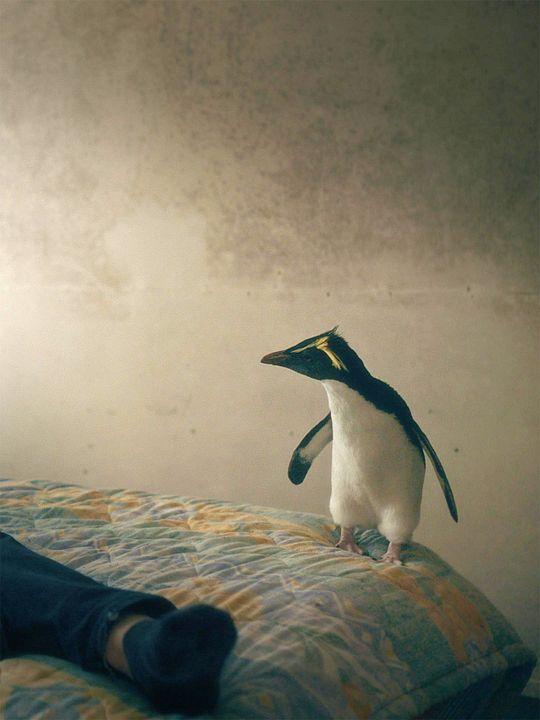 Tristan Forever : Kinoposter