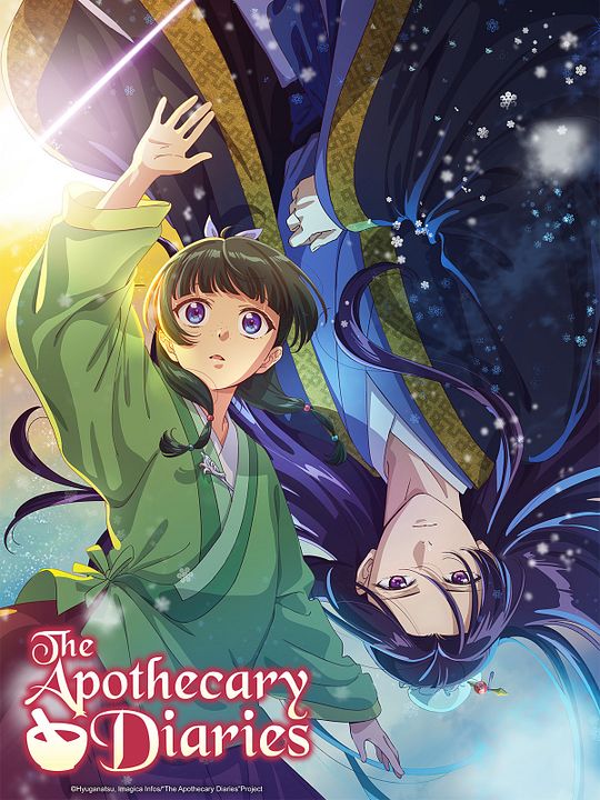 Die Tagebücher der Apothekerin : Kinoposter