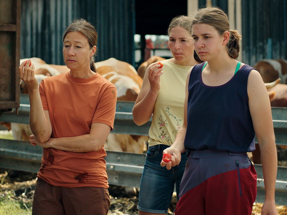 Milch ins Feuer : Bild