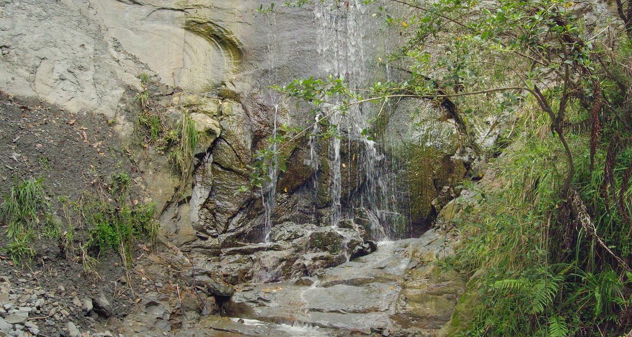 I Am The River, The River Is Me : Bild