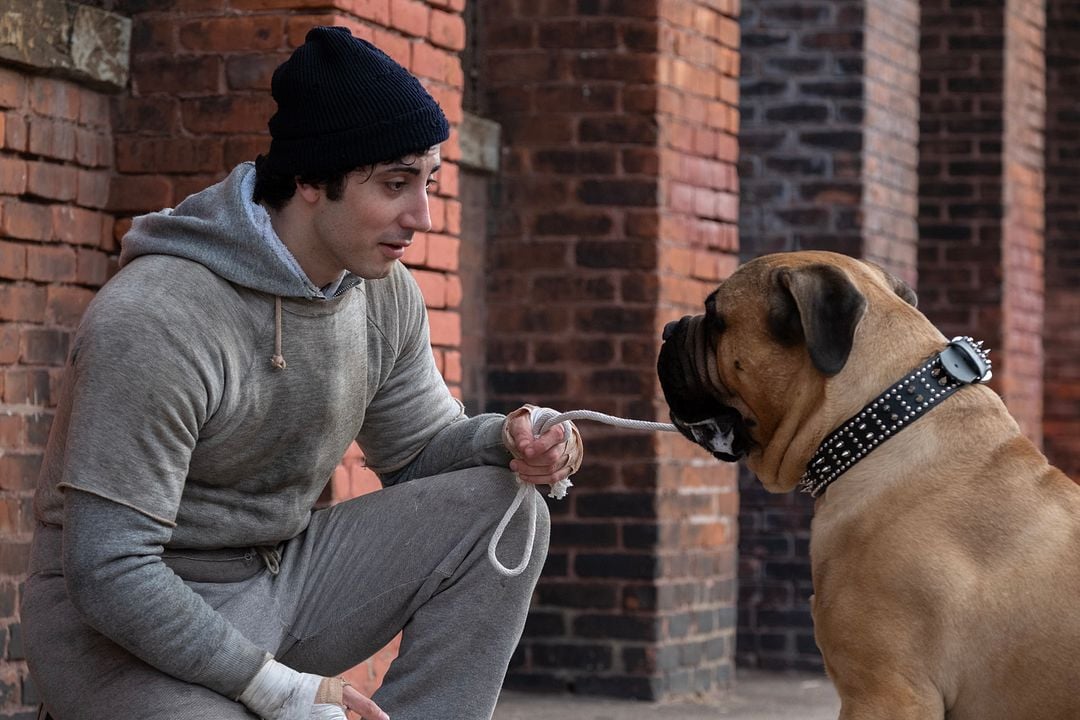 I Play Rocky : Bild Anthony Ippolito