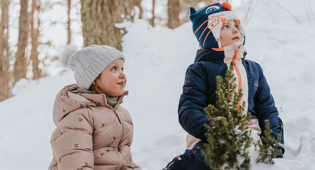 Ein Weihnachtsmann für alle Fälle : Bild