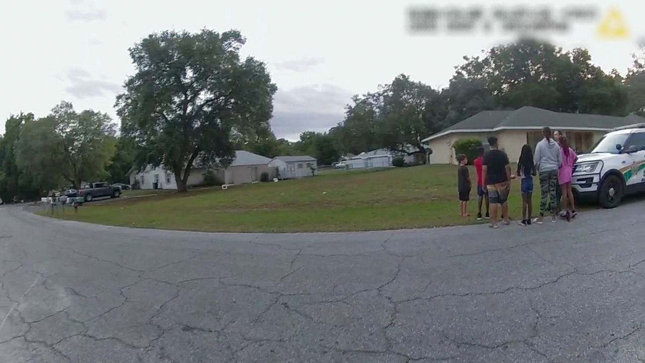 The Perfect Neighbor – Ein Gesetz und seine Folgen : Bild