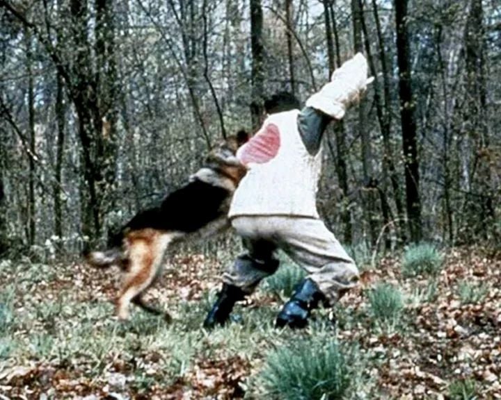 Gejagt und in Ketten gelegt : Bild Dean Cain