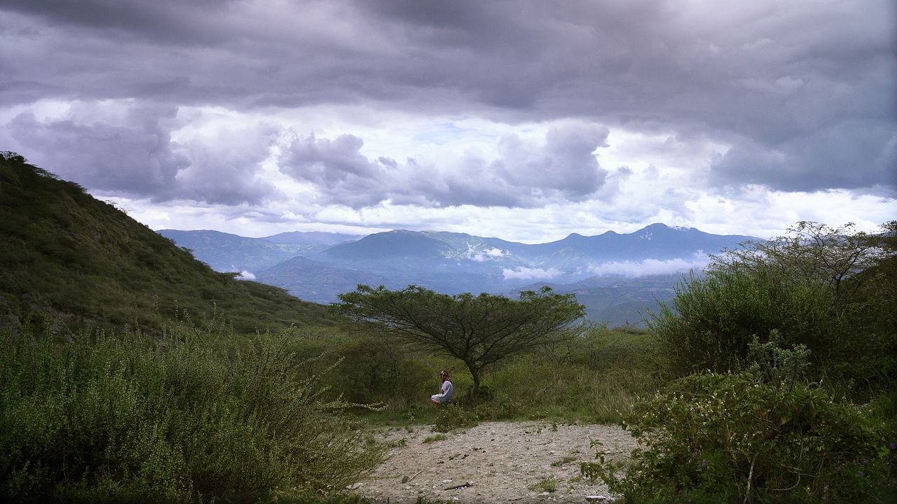 Wir, die Wolfs : Bild