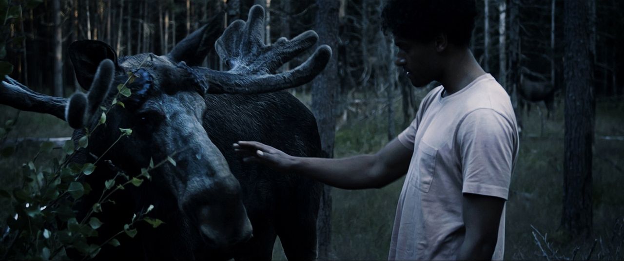 Fünf Finger sind 'ne Faust : Bild