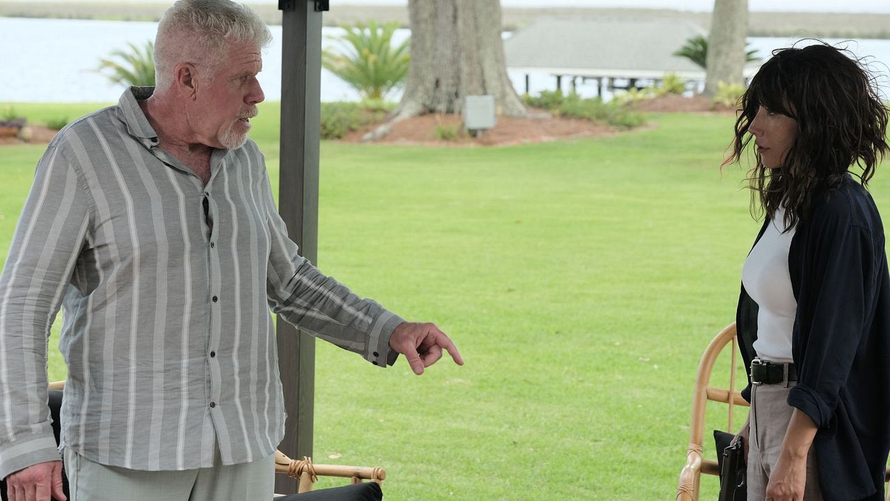 Blood Money: Tödliches Erbe : Bild Dichen Lachman, Ron Perlman