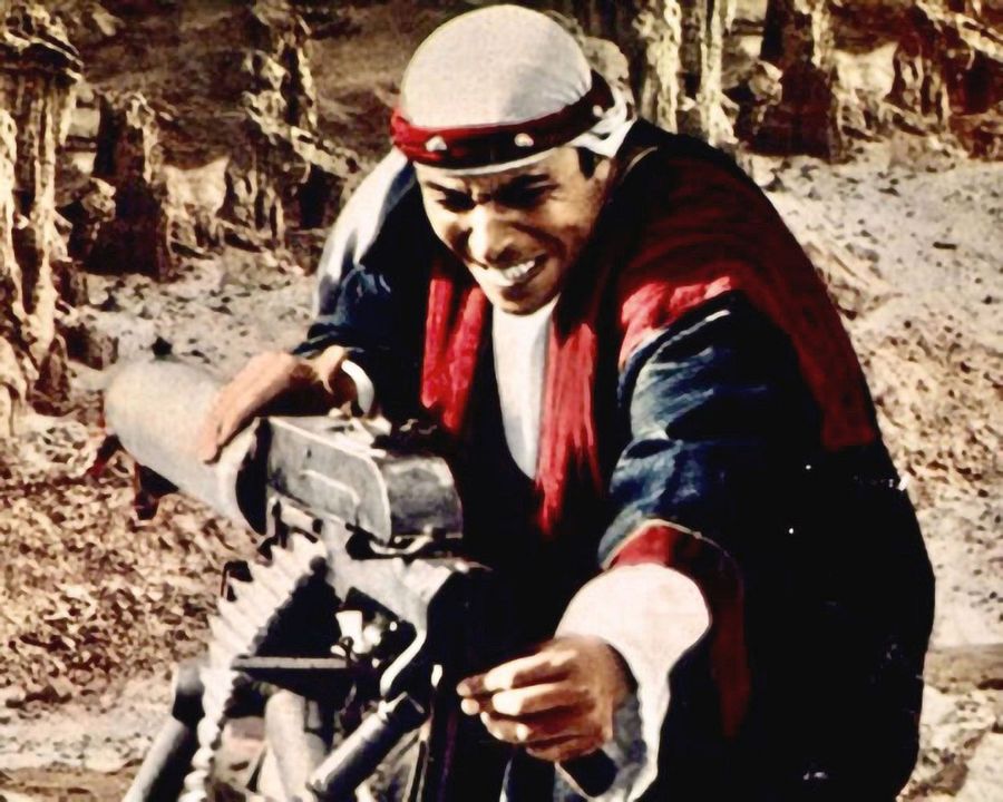 Raffica - Tiger der Wüste : Bild