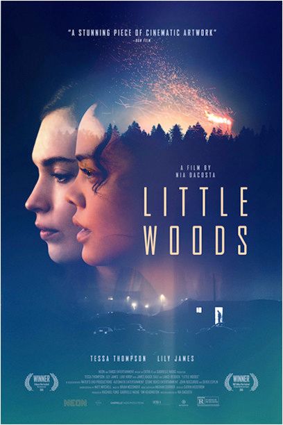 Little Woods : Kinoposter