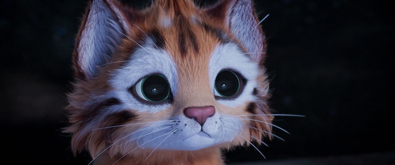 Heidi - Die Legende vom Luchs : Bild