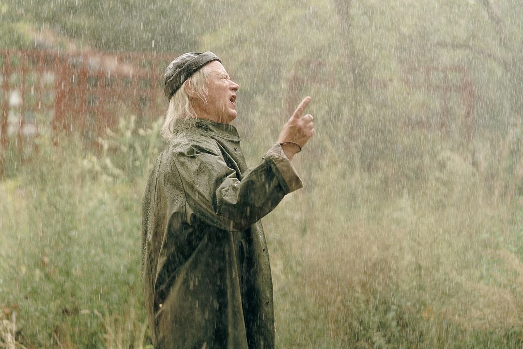 Der Regenmeister : Bild Robert Gustafsson