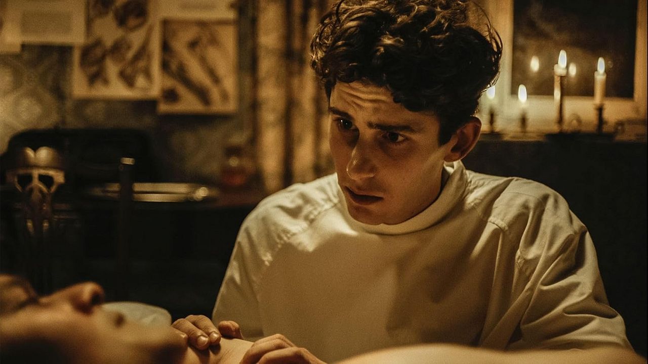 Lilies Not For Me : Bild