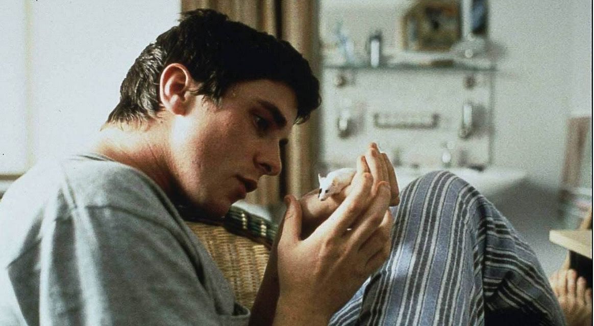 All The Little Animals : Bild