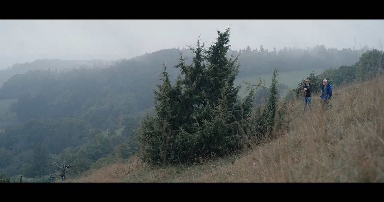 Traditionelle Europäische Medizin - Eine Spurensuche : Bild