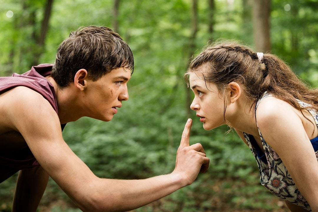 Missing*Link : Bild Luca Brüggemann