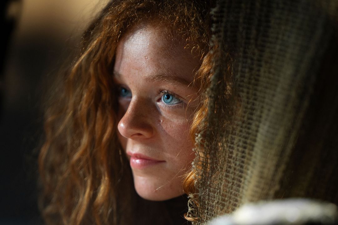 Momo : Bild Alexa Goodall