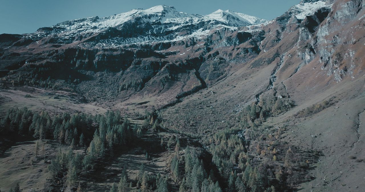 Der Deserteur : Bild