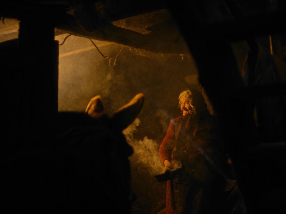 Stille Beobachter : Bild