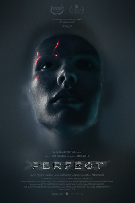 Perfect : Kinoposter