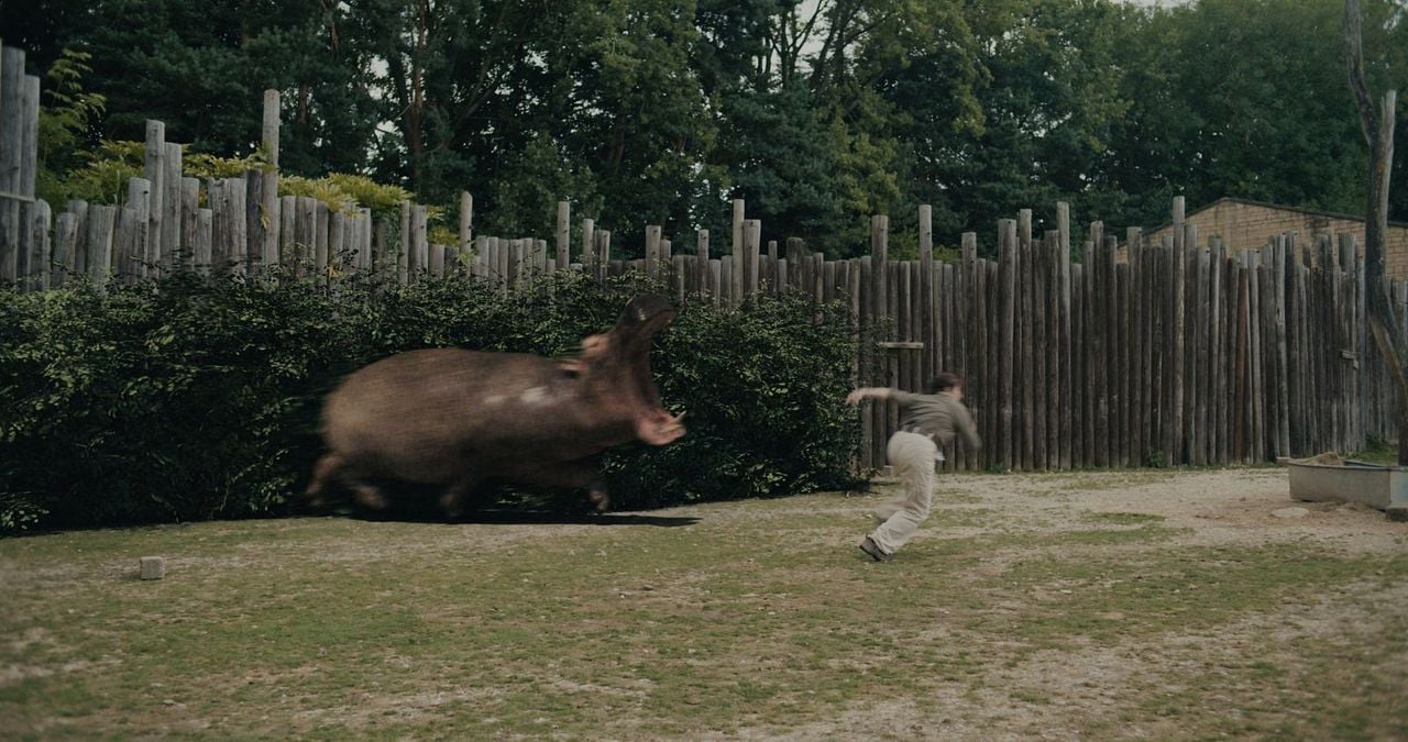 Hippo's Revenge - Drei Tonnen Zorn : Bild