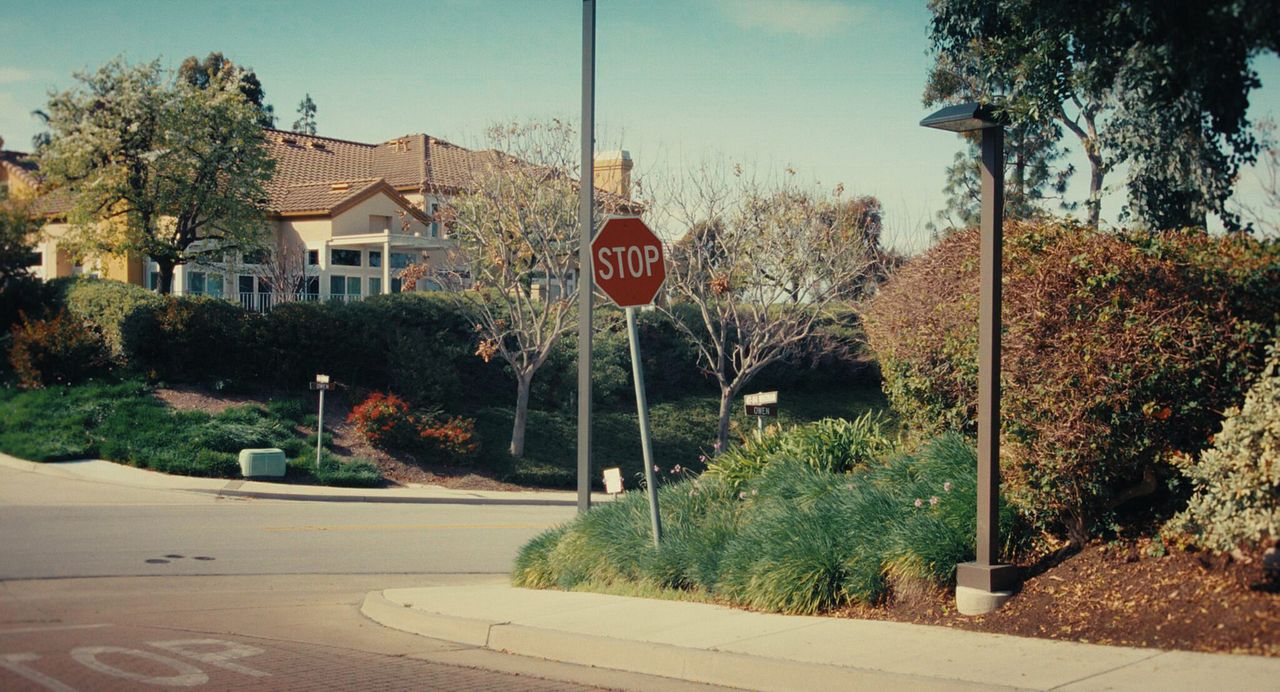 Memory Wars - Elizabeth Loftus und die Macht der Erinnerung : Bild