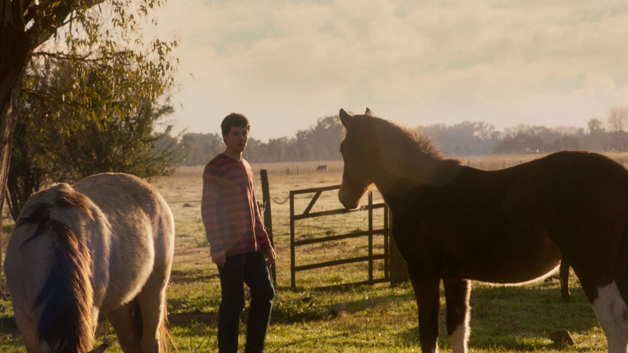 My Beautiful Teacher - eine gefährliche Affäre : Bild