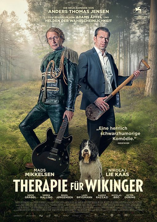 Therapie für Wikinger : Kinoposter