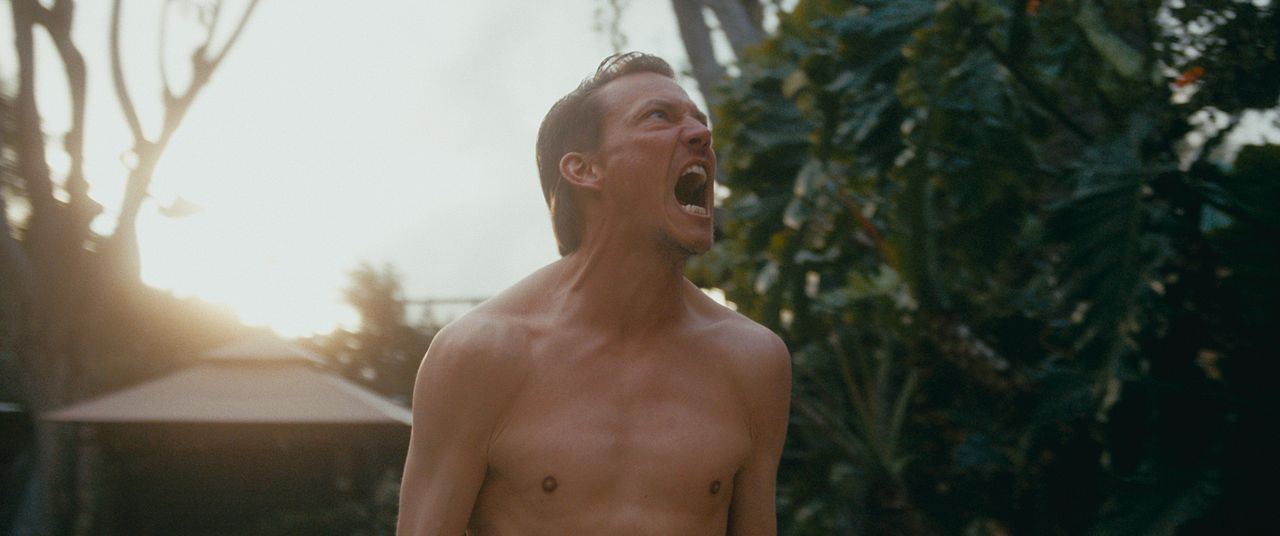 Hochstapler und Ponys : Bild