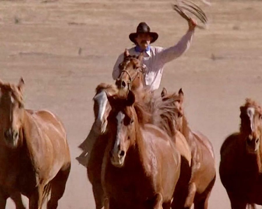 Ein Mann aus Stahl : Bild