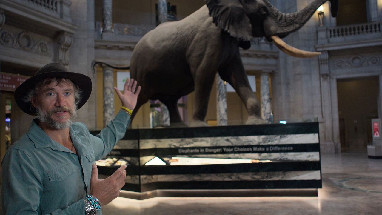 Ghost Elephants - Die Geister im Hochland Angolas : Bild