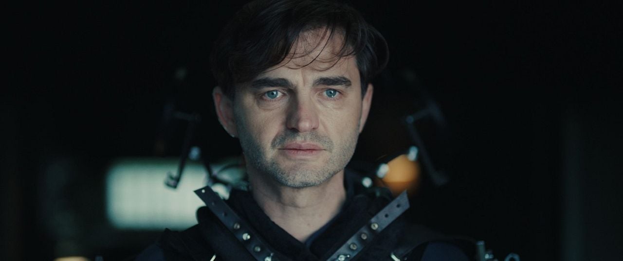 Der Kuss des Grashüpfers : Bild Lenn Kudrjawizki