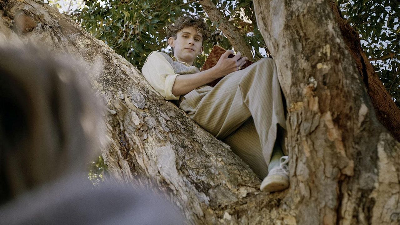 Lilies Not For Me : Bild Fionn O'Shea